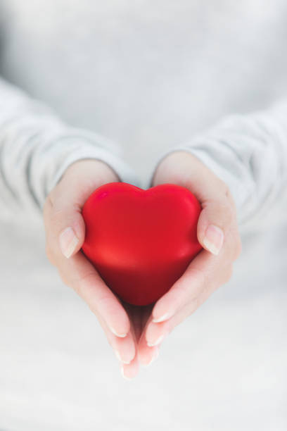 Female hands giving red heart, Heart in the hands. stock photo