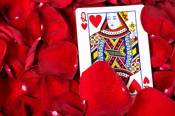 rose petals with playing card stock photo