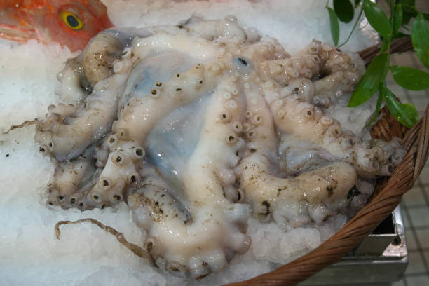 istock Seafood displayed on a fishmongers counter 917971954