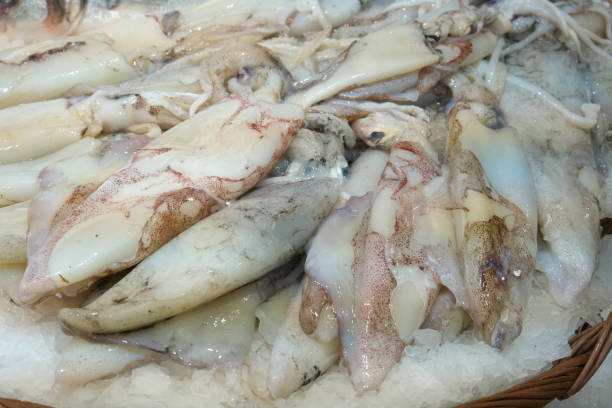 istock Seafood displayed on a fishmongers counter 917972170