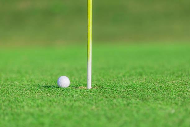 istock Golf ball on the green grass to the hole 917975076