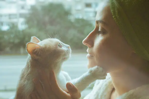 Photo of The cat and its owner got to know each other in love with his eyes