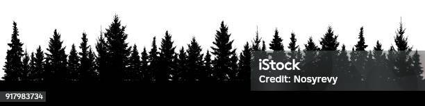 Forest Of Christmas Fir Trees Silhouette Coniferous Spruce Panorama Park Of Evergreen Wood Vector On White Background Stock Illustration - Download Image Now