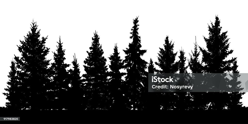 Foresta di abeti natalizi silhouette. Abete rosso di conifere. Vettore su sfondo bianco - arte vettoriale royalty-free di Foresta