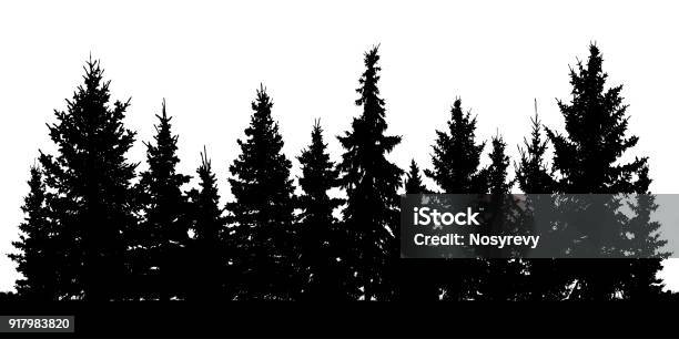 Forest Of Christmas Fir Trees Silhouette Coniferous Spruce Vector On White Background Stock Illustration - Download Image Now