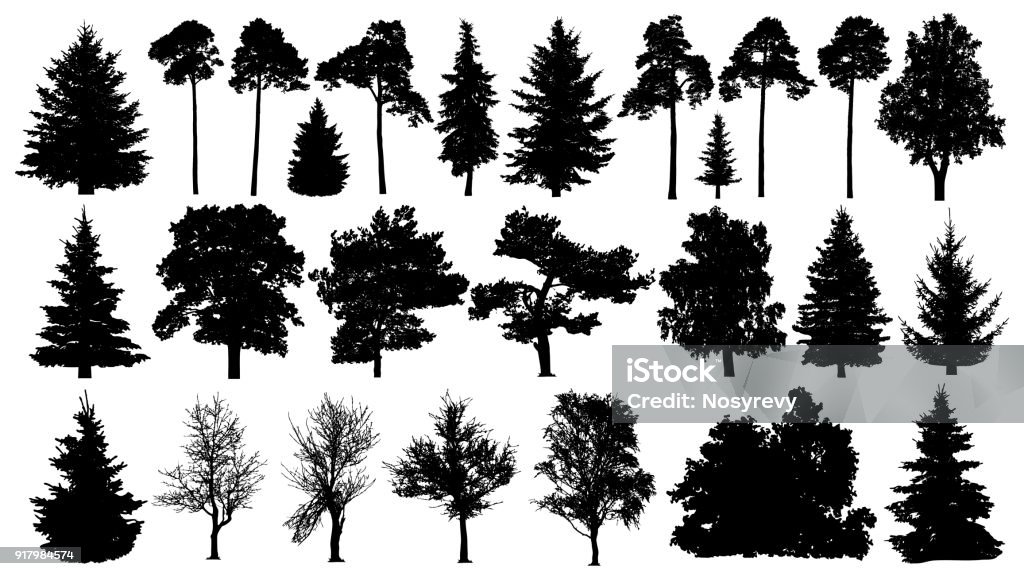 Trees set silhouette. Coniferous forest. Isolated tree on white background. Tree stock vector