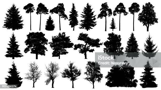 Trees Set Silhouette Coniferous Forest Isolated Tree On White Background Stock Illustration - Download Image Now