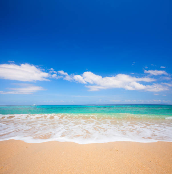 istock beach and beautiful tropical sea 917987718