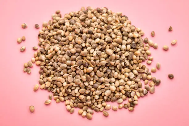 a small pile of organic dried hemp seeds, top view on a pink background