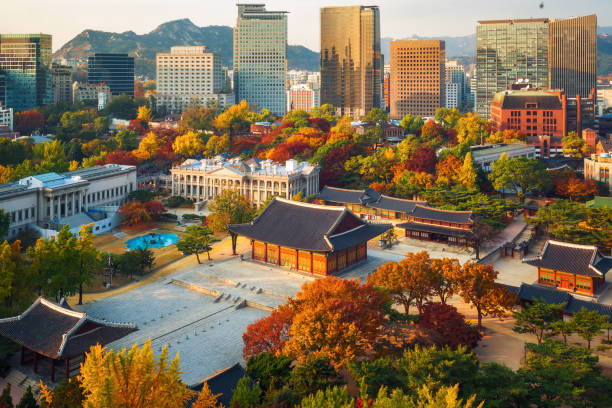 Autumn of Deoksugung royal palace and Seoul City Autumn of Deoksugung royal palace and Seoul City Hall from top view in Seoul,South Korea. south korea photos stock pictures, royalty-free photos & images