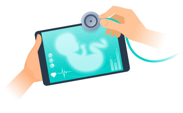 Tablet PC with ultrasound virtual image of unborn baby. Tablet PC with ultrasound virtual image of unborn baby on the screen. Flat vector concept illustration of doctor with stethoscope online checking baby's pulse, exams indicators of course of pregnancy. baby heart rate stock illustrations