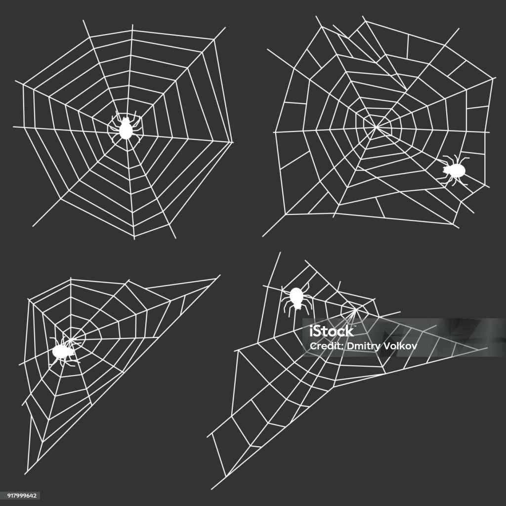 White web with a spider on a black background. A spider weaves a spider web. White web with a spider on a black background. A spider weaves a spider web. Flat design, vector illustration, vector. Spider Web stock vector