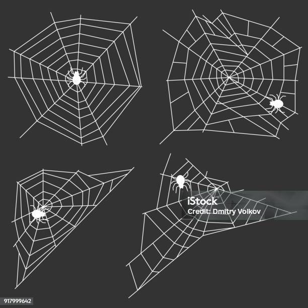 White Web With A Spider On A Black Background A Spider Weaves A Spider Web Stock Illustration - Download Image Now