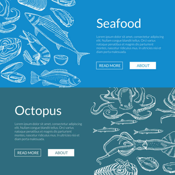 ilustraciones, imágenes clip art, dibujos animados e iconos de stock de plantilla de vector web banner con mano dibujado elementos de mariscos - red octopus