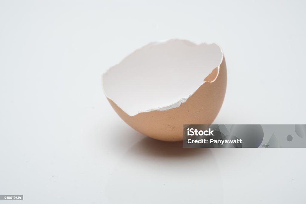 Single Egg Shell Egg Shell With White Scene Stock Photo - Download Image Now - Animal ...