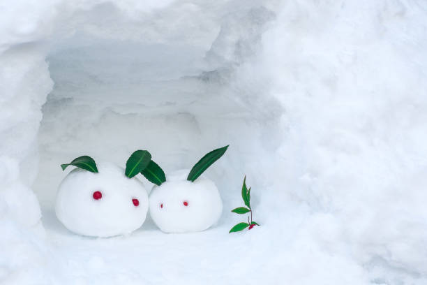 hase kaninchen schneemann in einer kleine schneehöhle - sculpture art abstract white stock-fotos und bilder