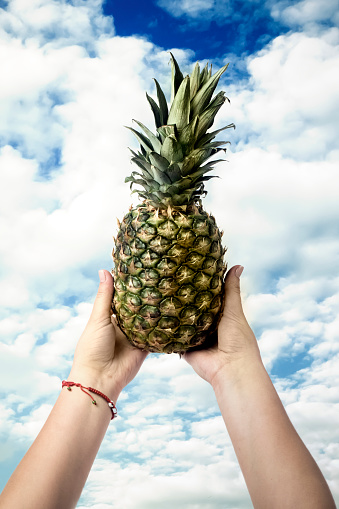 pineapple in hands against the blue sky