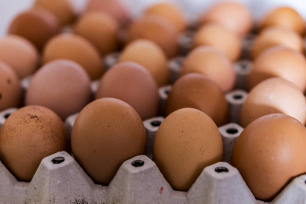 istock Closeup of crust with eggs. Defokus in the background. Eggs for easter. 918023980