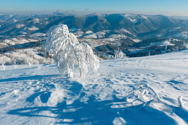 istock Winter mountain snowy landscape 918027262