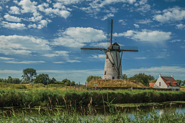 stary wiatrak obok kanału z krzewami i gajem w tle późnym popołudniem światło i błękitne niebo, w pobliżu damme. - belgium bruges windmill europe zdjęcia i obrazy z banku zdjęć