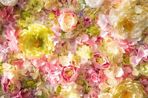 istock beautiful floral background with tender flowers 918030988