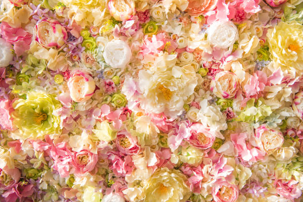 istock beautiful floral background with tender elegant flowers 918031162
