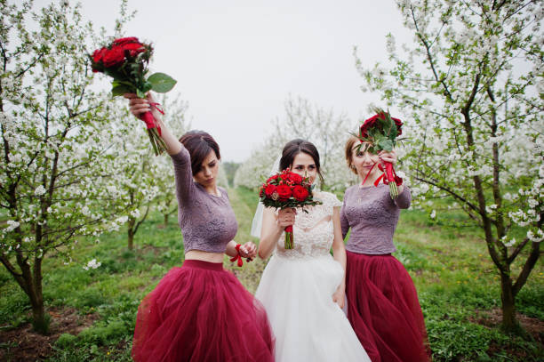 Vestidos De Dama De Honor De Primavera - Banco de fotos e imágenes de stock - iStock Vestidos De Dama De Honor De Primavera - Banco de fotos e imágenes de stock - iStock