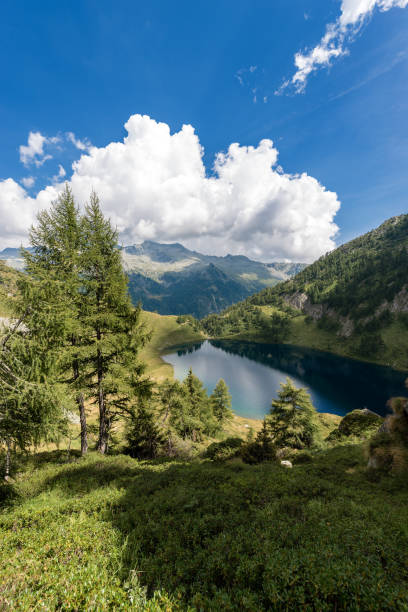 istock Adamello with Camp Lake (Lago di Campo) - Trento Italy 918036346