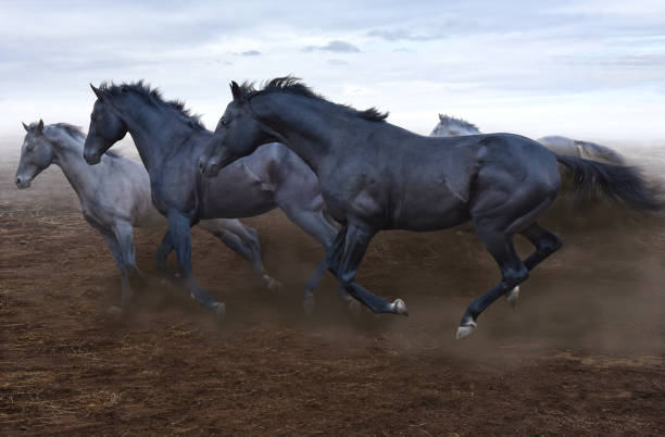 istock a herd of swift horses jumps on the boundless steppe 918038758