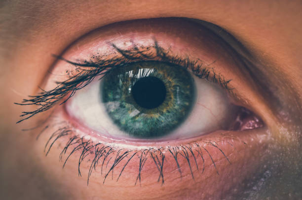 여자의 오픈 눈의 상세 보기 - lens flair 뉴스 사진 이미지