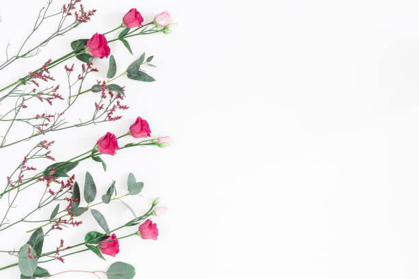 istock Pink flowers and eucalyptus branches. Flat lay, top view 918054336