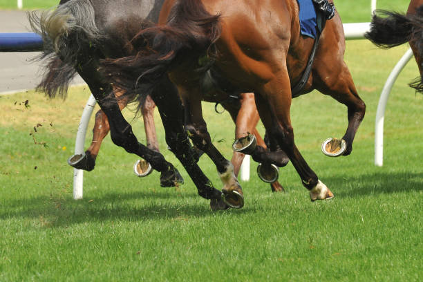 istock Horse racing action 918060386
