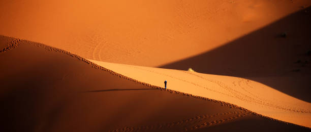 istock Man Enjoying Sunrise at Erg Chebbi Sand Dunes 918064224