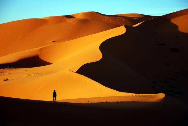 istock Man Enjoying Sunrise at Erg Chebbi Sand Dunes 918064392