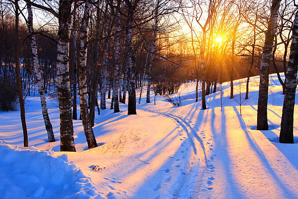 istock Beautiful sunset in winter park 91807194