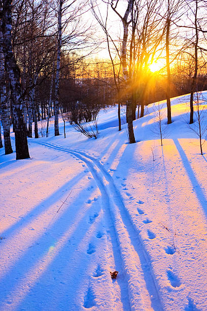 冬の公園 - rural scene russia ski track footpath ストックフォトと画像