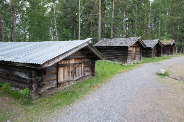 istock Elverum, Norway 918072272