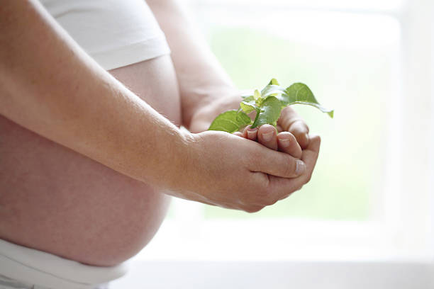 istock Close-up of a womans bare pregnant belly. 91807544