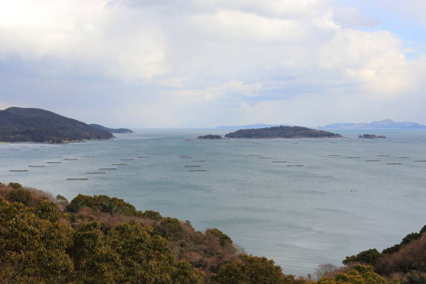 istock Seto inland sea in Japan 918078434
