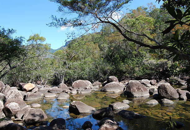 Diamantina Creek on Hinchinbrook Island stock photo
