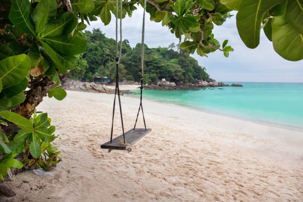 istock Swing hang from big tree over beach, Kohlipe Island, Thailand 918080476