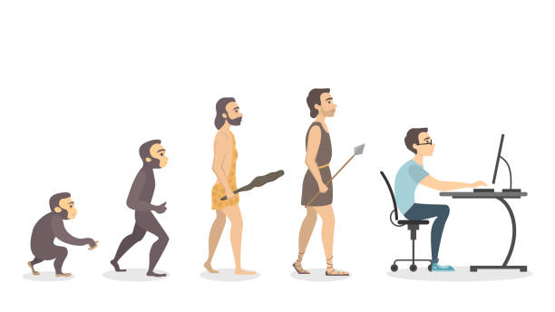 Evolution of programmer. vector art illustration