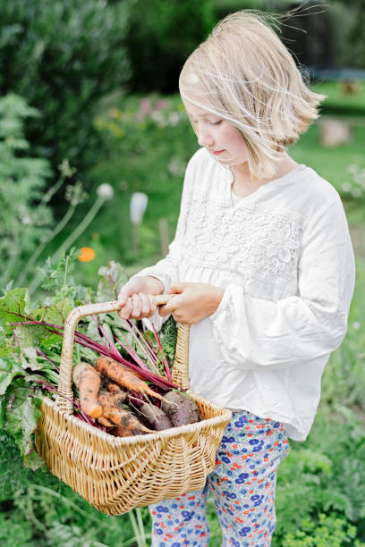 istock Freshly Picked Vegetables From The Garden 918084394