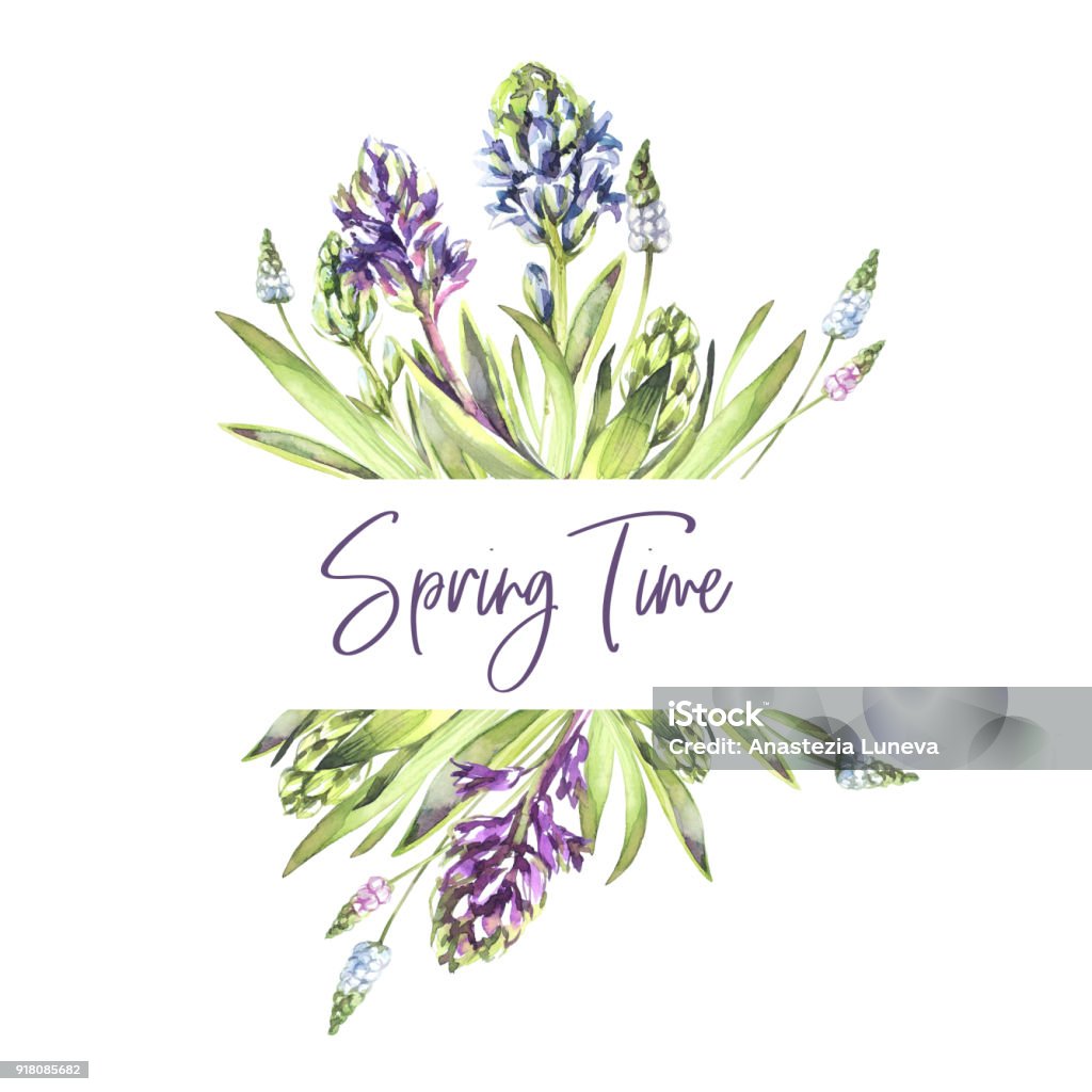 Hand painted borders with Hyacinths flowers and leaves. Spring watercolor illustration in violet shades. Botanical texture. Can be used for a poster, printing on fabric, wedding designs Hand painted bordes with Hyacinths flowers and leaves. Spring watercolor illustration in violet shades. Botanical texture. Can be used for a poster, printing on fabric, wedding designs. Nature. 2018 stock illustration