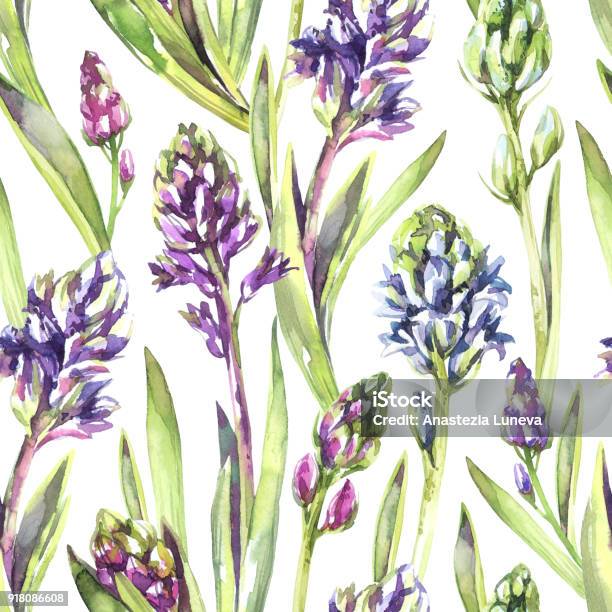 Seamless Pattern Hyacinths Flowers And Leaves Spring Watercolor Illustration In Violet Shades Botanical Texture Fresh And Bright Design Can Be Used For A Poster Printing On Fabric Stock Illustration - Download Image Now