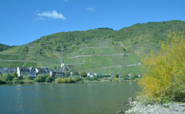 istock Village of Bremm,Mosel Valley,Germany 918090586