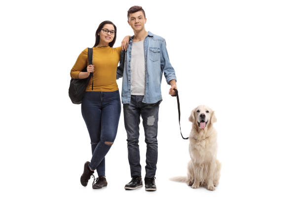 istock Teenage students with a labrador retriever dog 918094266