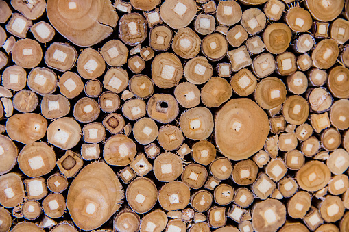 Wood logs textured background