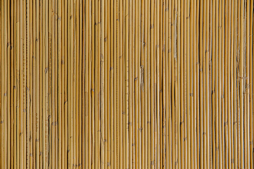 Con textura de bambú natural photo