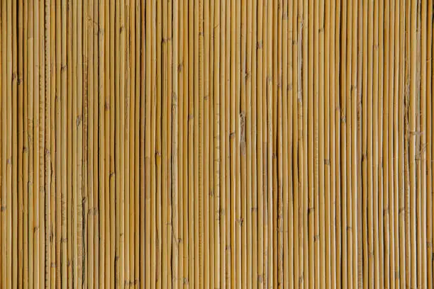 Photo of Natural bamboo textured